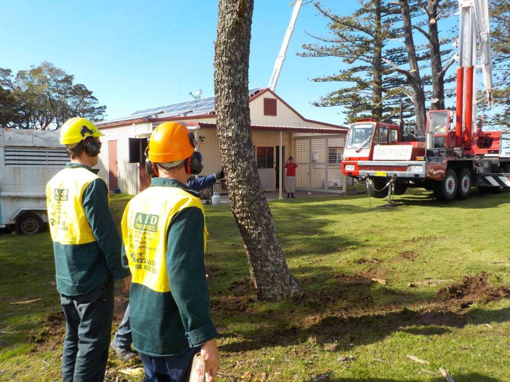 Commercial Tree Services Nowra A&D Tree Services